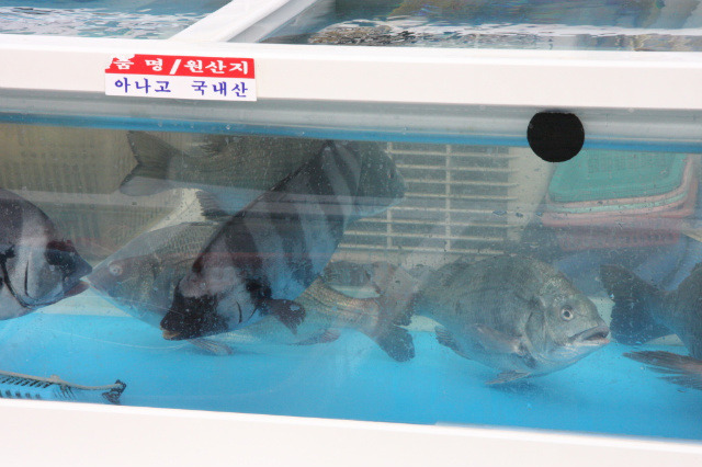 공주횟집 이미지