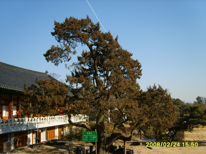 À̹ÌÁö¸¦ Ŭ¸¯ÇÏ¸é ¿øº»À» º¸½Ç ¼ö ÀÖ½À´Ï´Ù.