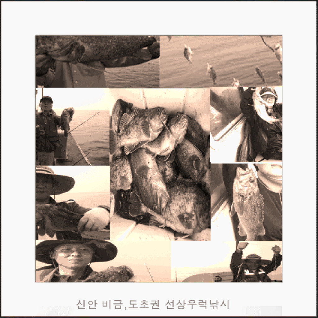 사계절낚시 이미지
