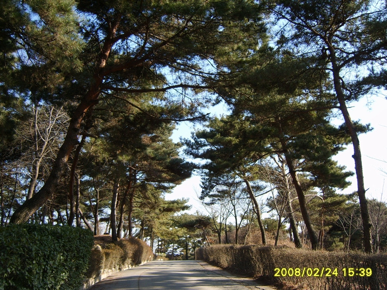 À̹ÌÁö¸¦ Ŭ¸¯ÇÏ¸é ¿øº»À» º¸½Ç ¼ö ÀÖ½À´Ï´Ù.