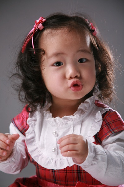 백송이 이미지